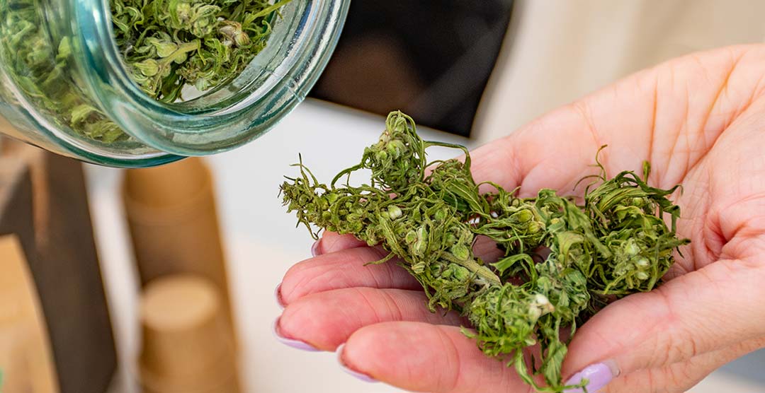Thailand Cannabis Regulation in 2022